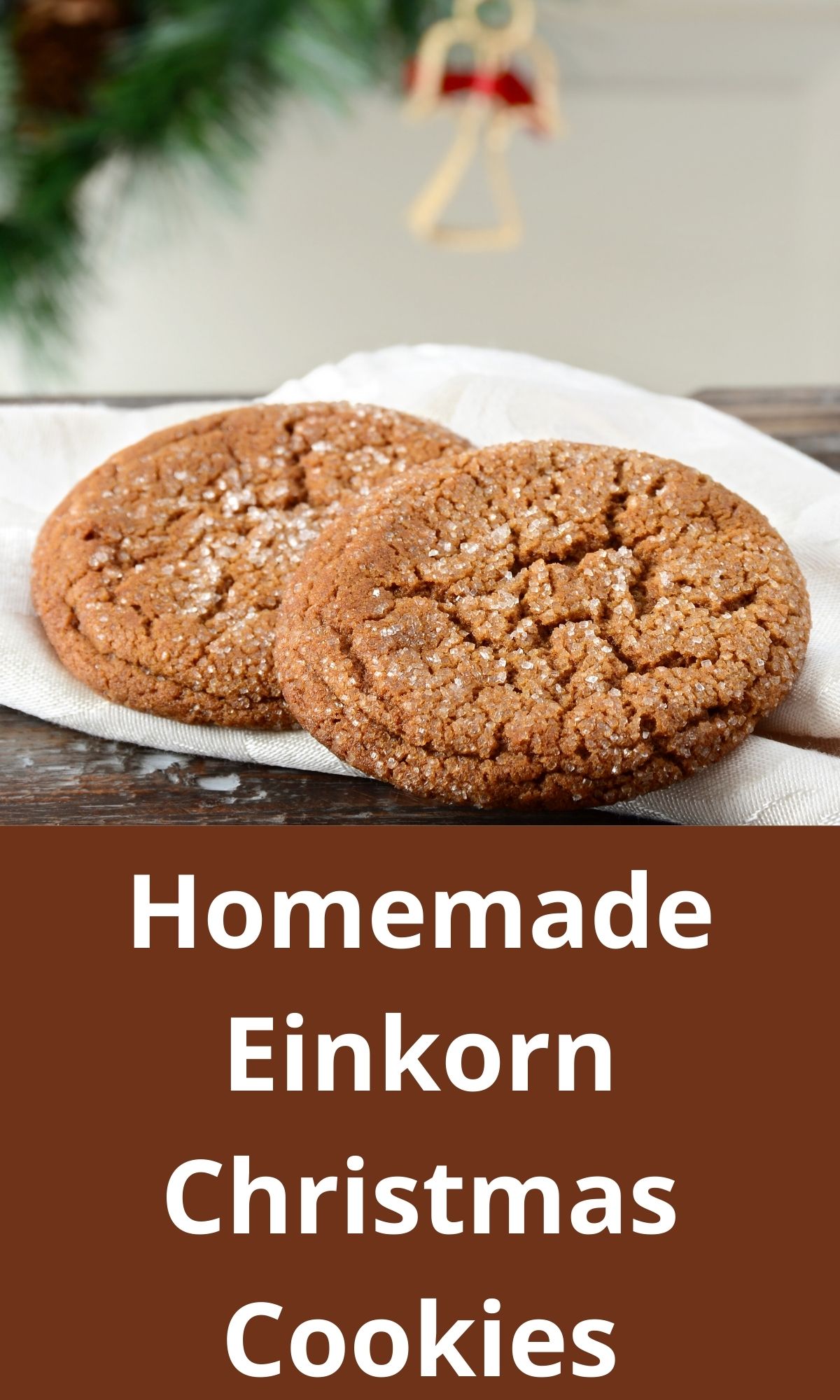 Homemade Einkorn Christmas Cookies Recipe The Farmer S Lamp