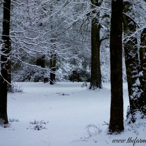Field Covered in Undisturbed Snow