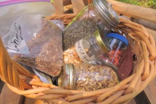 garden seeds in glass jars