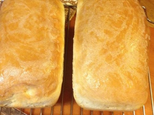 Super Easy Sourdough Bread - Dutch Oven Style - The Wild Gut