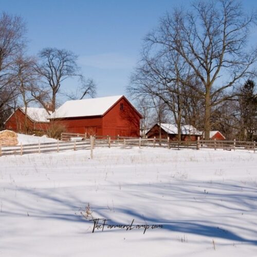 Winterized homestead