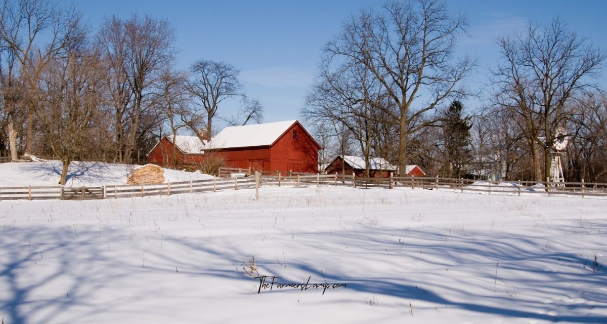 Winterized homestead