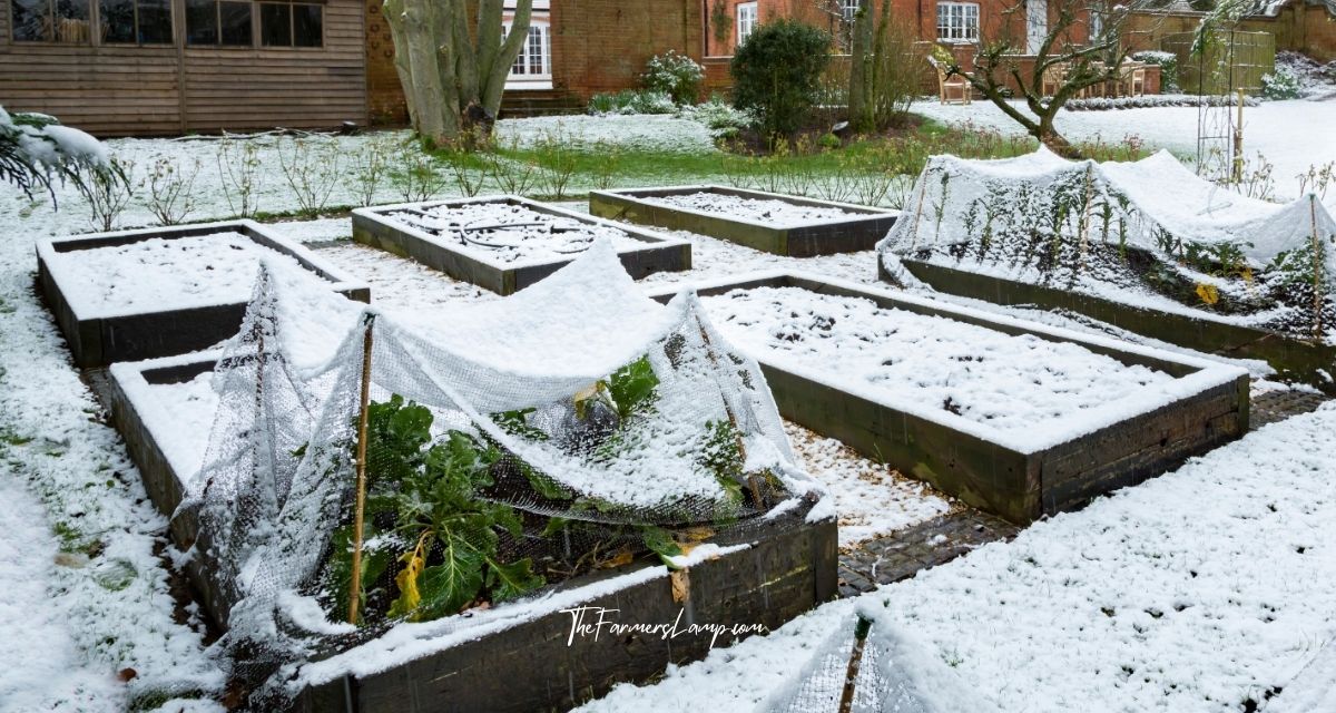 Winterized garden bed