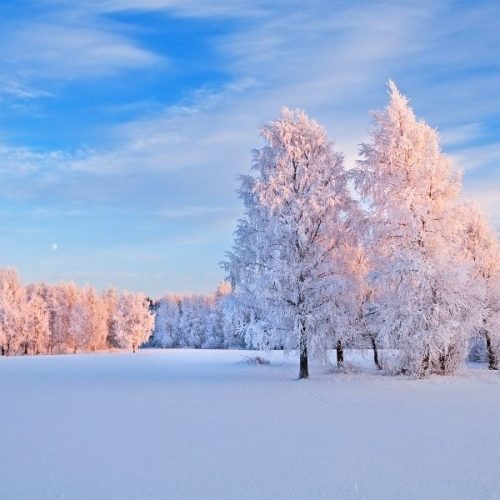 winter scene in winterizing your homestead