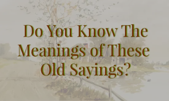 Do You Know The Meanings Of These Old Sayings The Farmer s Lamp