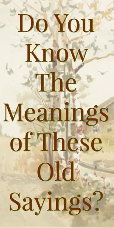 do-you-know-the-meanings-of-these-old-sayings-the-farmer-s-lamp