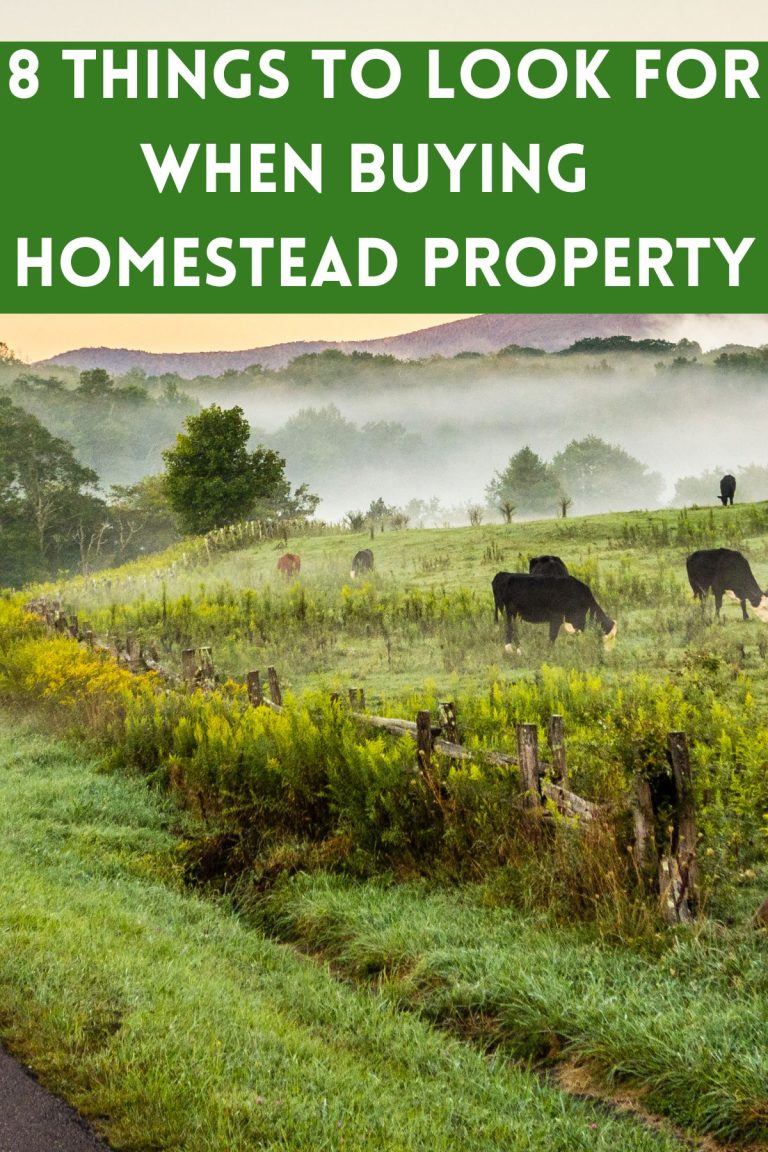 8 Things To Look For When Buying Homestead Property