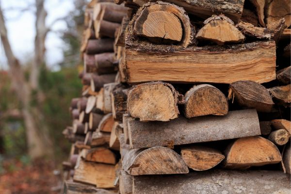 wood pile