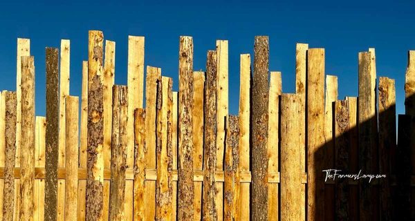 DIY Fence Ideas - Cut off slab fence DIY fence idea of uneven slab cutoffs for privacy fencing