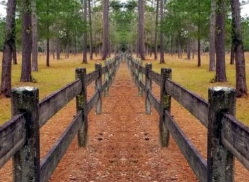 Fence on Country lane for Fence Ideas