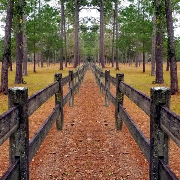 Fence on Country lane for Fence Ideas