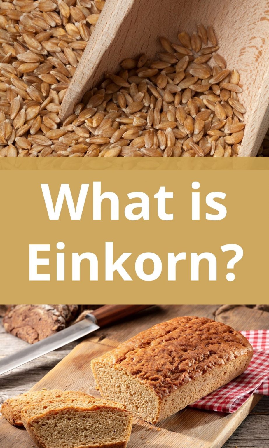 What Is Einkorn Flour And What Are Its Benefits? • The Farmer's Lamp