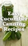 Easy Cucumber Canning Recipes