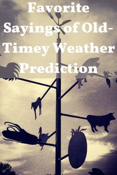 favorite-sayings-of-old-timey-weather-prediction