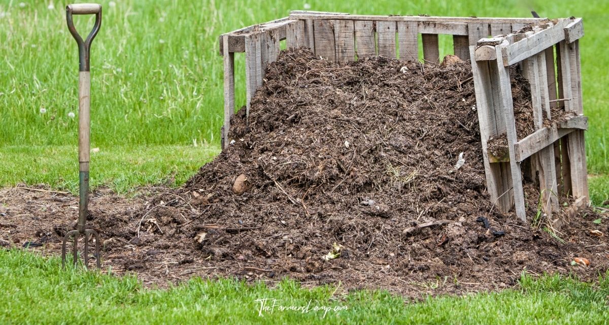 Build a DIY Compost Bin