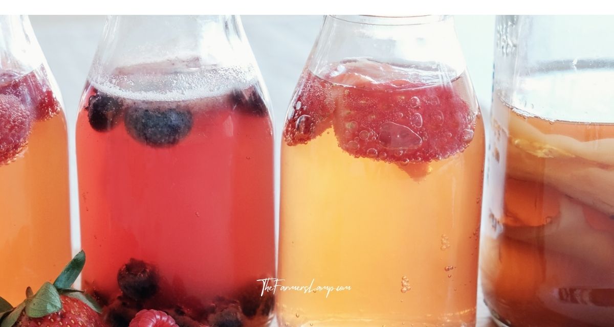 Kombucha