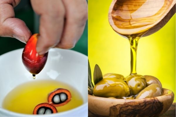 palm oil and olive oil