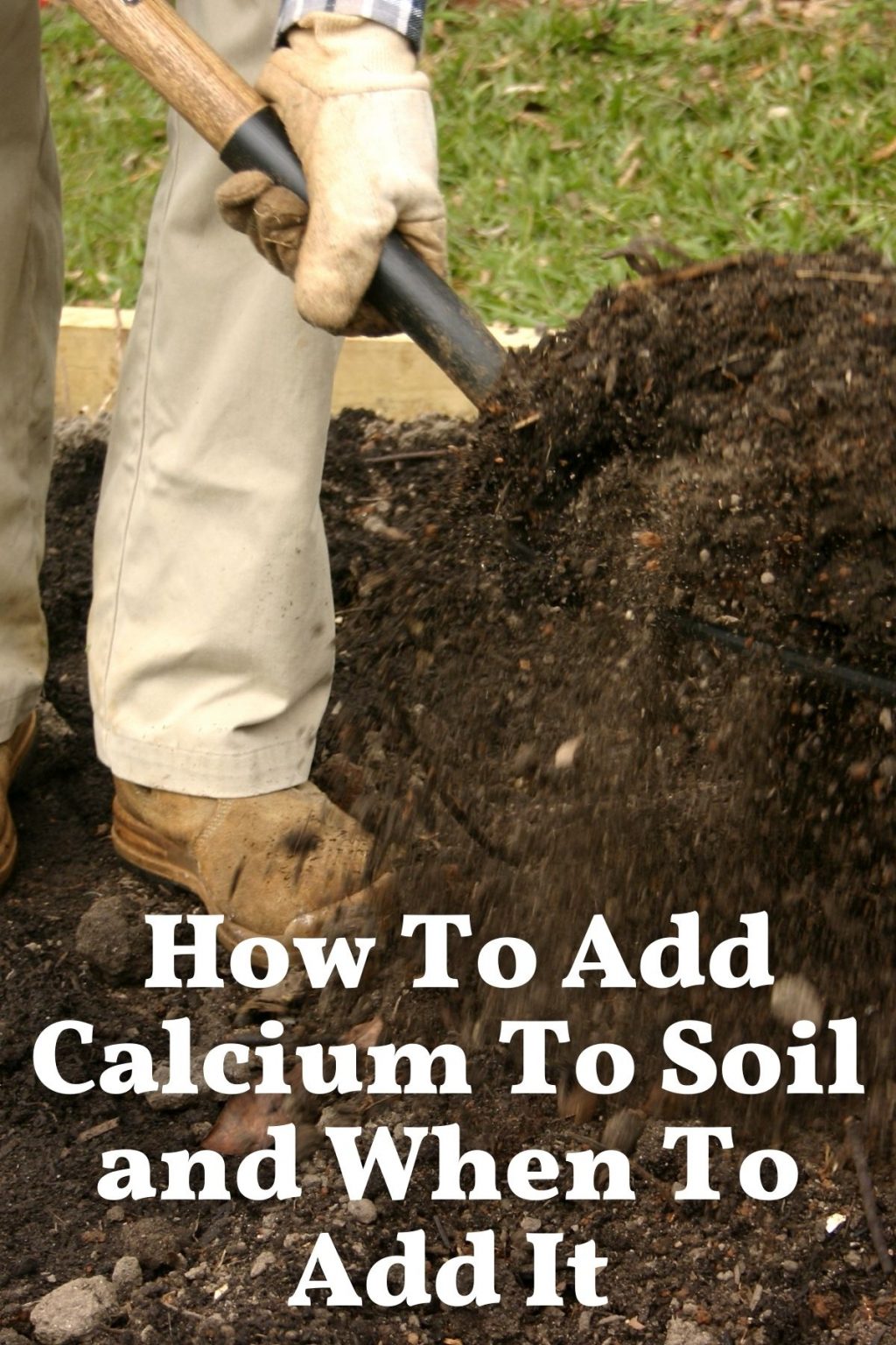 How To Add Calcium To Soil And When To Add It • The Farmer's Lamp