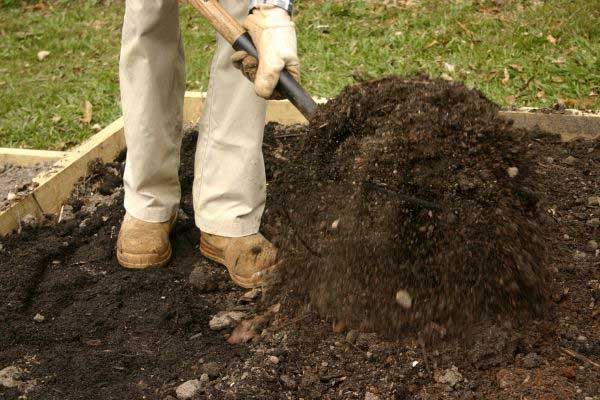 man shoveling dirt to add calcium to soil