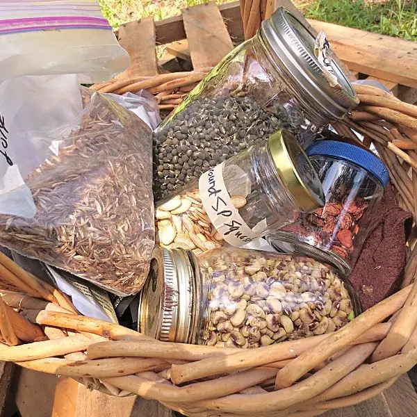 organic heirloom seeds in a basket for gmo seeds vs hybrid seeds