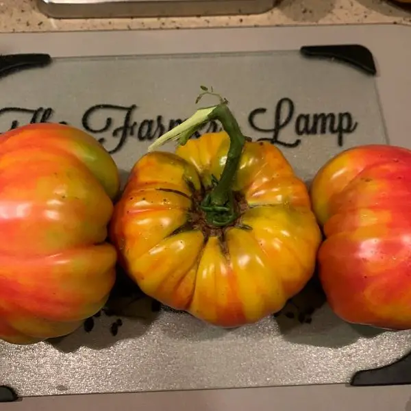 Three orange tomatoes on glass cutting board.