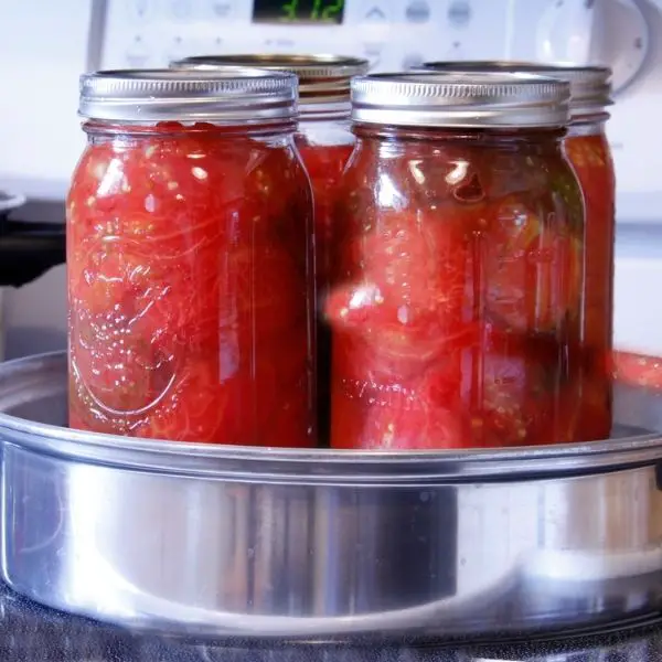 filled jars in canner to can tomatoes