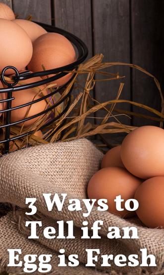 How to Tell If a Chicken Egg Is Rotten: A Simple Guide - My