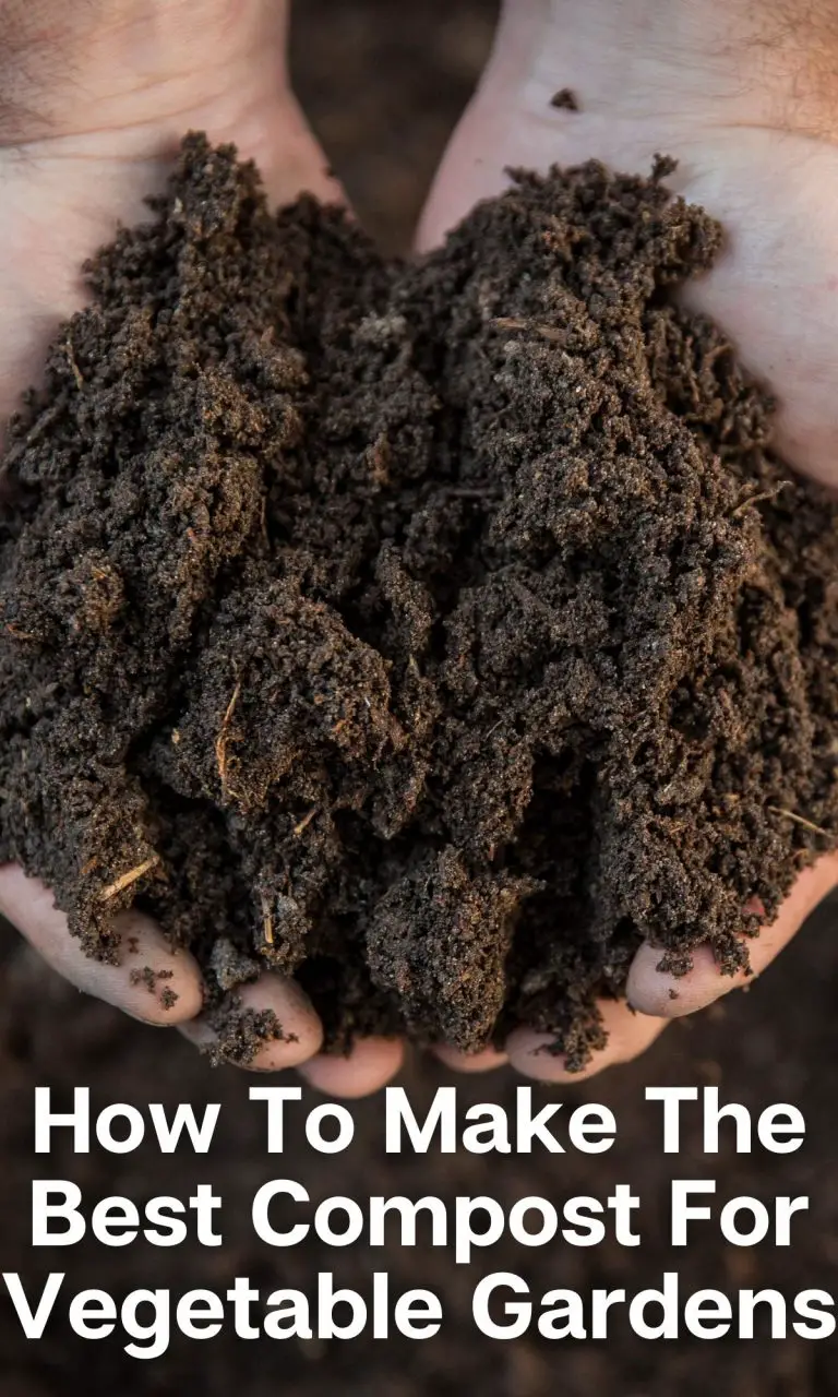 How To Make The Best Compost For Vegetable Gardens • The Farmer's Lamp