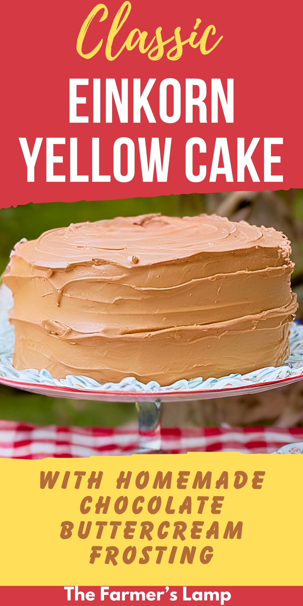 einkorn yellow cake frosted with chocolate buttercream frosting on a white cake stand and a red and white gingham tablecloth with words written that read classic einkorn yellow cake with homemade chocolate buttercream frosting the farmers lamp