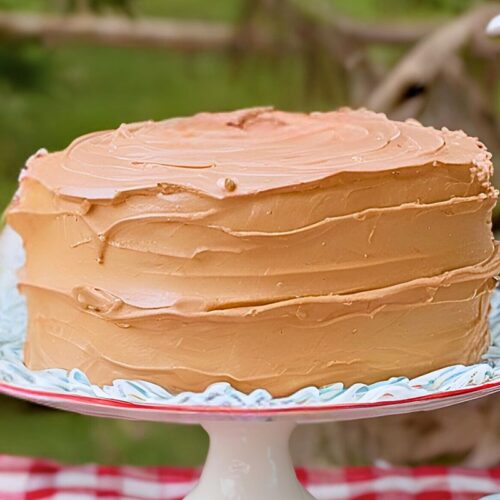 einkorn yellow caked frosted with chocolate buttercream frosting on a white cake plate and a red and white gingham tablecloth