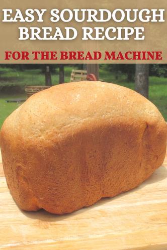 The Easy Bread Machine Recipe - PlantYou