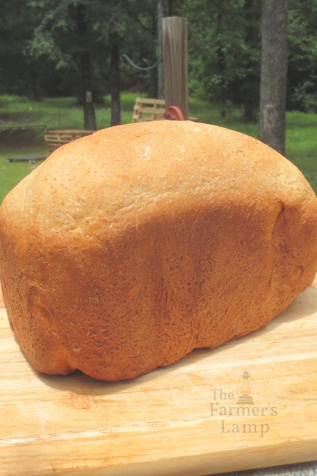 sourdough bread cooling on wooden cutting board