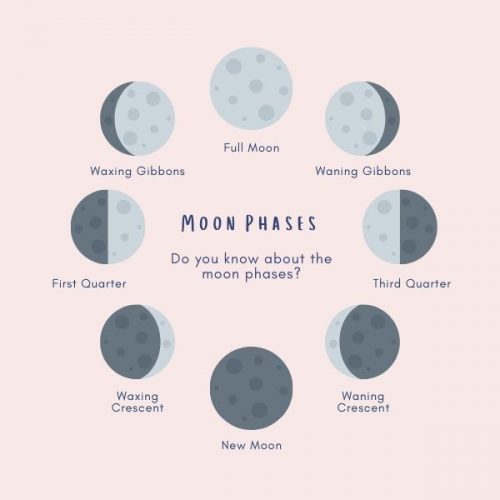 The Moon's Phases: What They Are, Uses For The Homestead, And Their ...