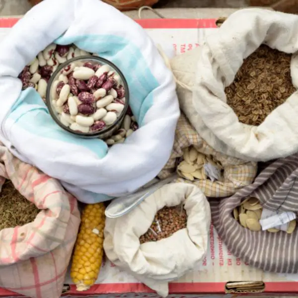 seeds of various vegetable in bags