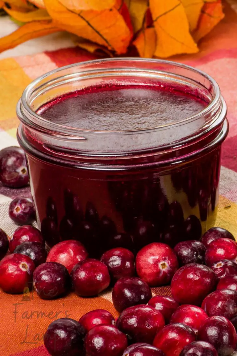 Homemade Cranberry Sauce Recipe The Farmer S Lamp