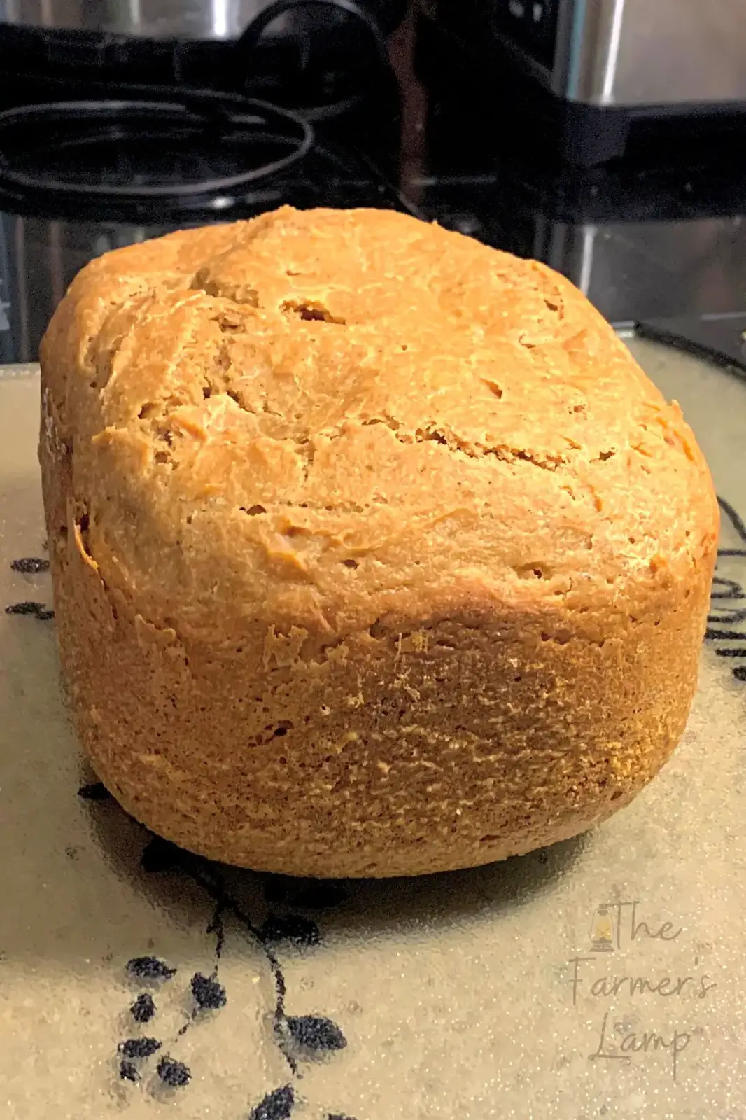 Einkorn Bread Machine Recipe