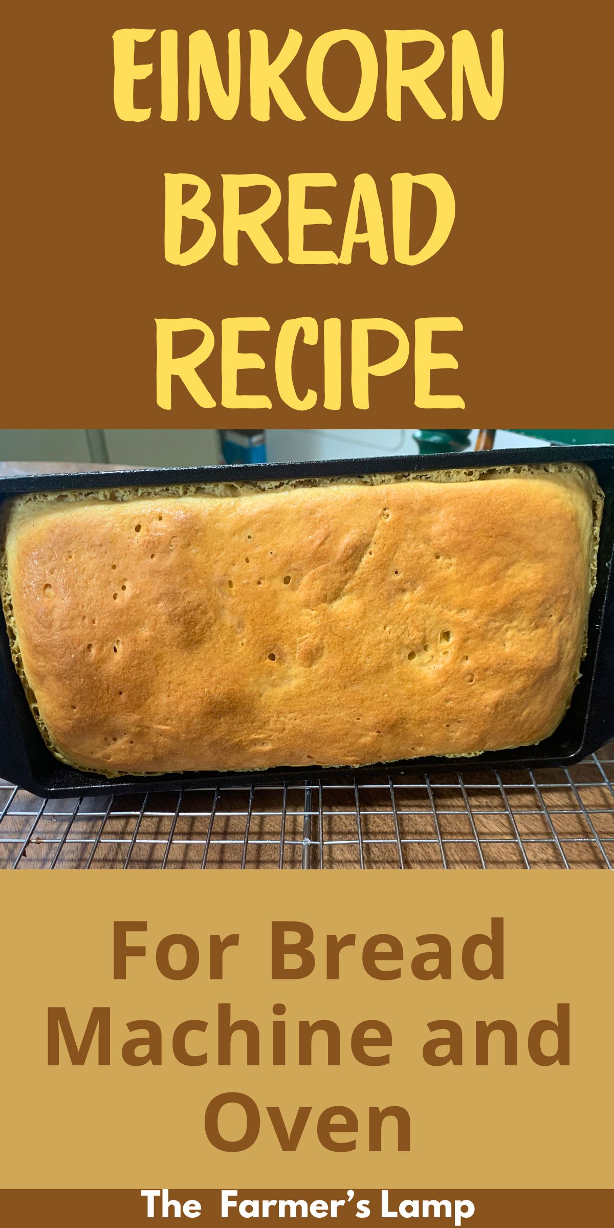 loaf of einkorn bread in a cast iron pan sitting on a cooling rack with words written that read einkorn bread recipe for bread machine and oven the farmers lamp