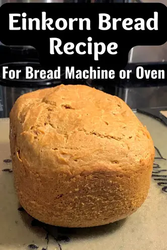 Einkorn Bread Machine Recipe