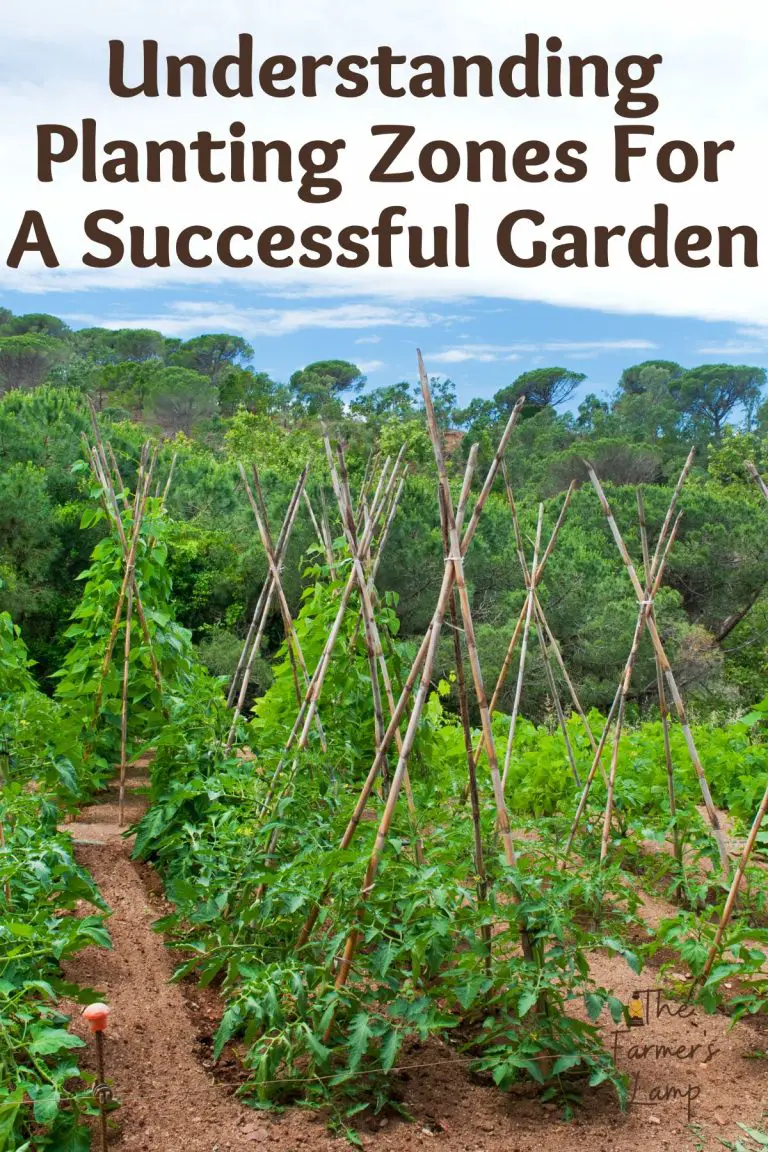 Understanding Planting Zones For A Successful Garden • The Farmer's Lamp