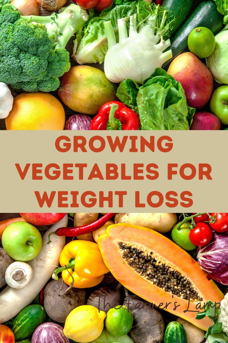 Vegetables For Weight Loss | Visit The Farmer's Lamp
