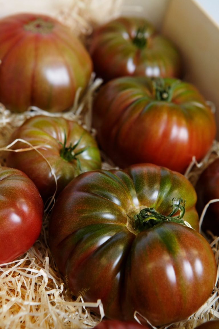 Your Guide To The Ananas Noire Tomato • The Farmer's Lamp