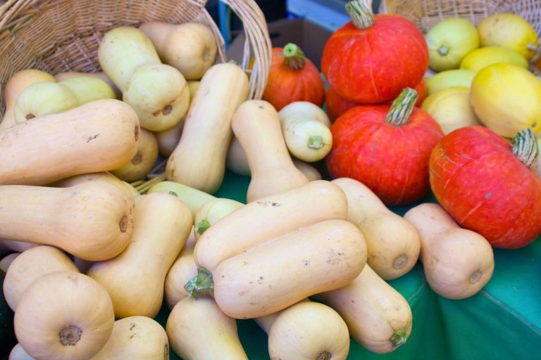 butternut squash pumpkins and spaghetti squash just harvested from garden
