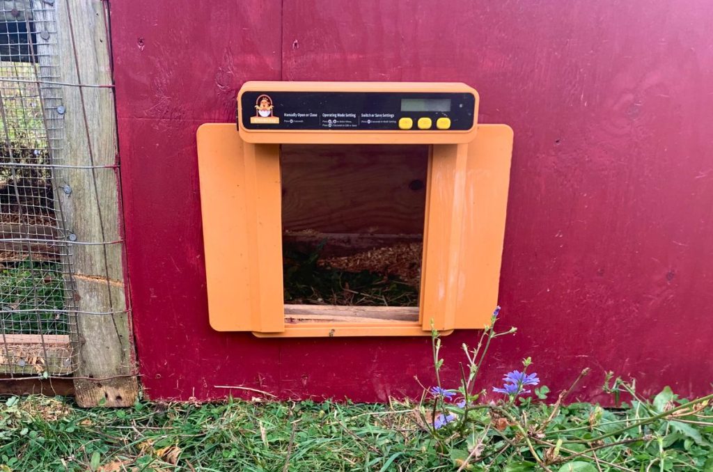 our chickcozy automatic chicken coop door