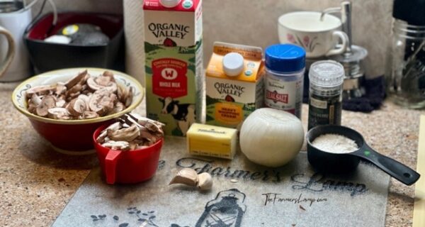 Cream of Mushroom Soup Blog Images 16x9, 1200 x 640 - 1 Cream of Mushroom Soup ingredients