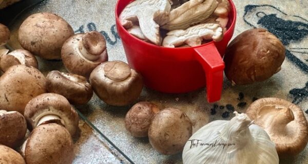 Cream of Mushroom Soup Blog Images 16x9, 1200 x 640 - 2 Cream of Mushroom Soup