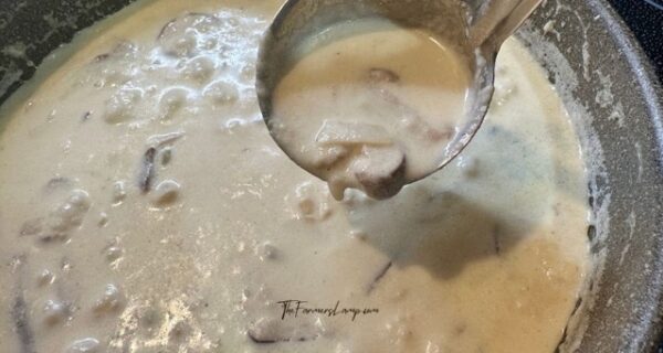 Cream of Mushroom Soup Blog Images 16x9, 1200 x 640 - 3 Cream of Mushroom Soup