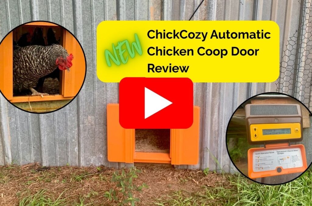 ChickCozy Automatic Chicken Coop Door video review