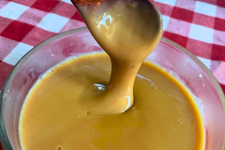 carmel from sweetened condensed milk