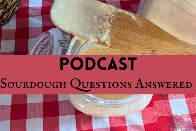 sourdough starter on a red and white checkered tablecloth with words written on it that read podcast sourdough questions answered