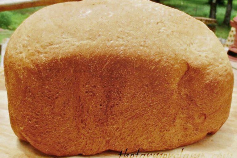 loaf of sourdough bread cooling